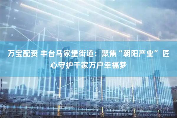 万宝配资 丰台马家堡街道：聚焦“朝阳产业” 匠心守护千家万户幸福梦