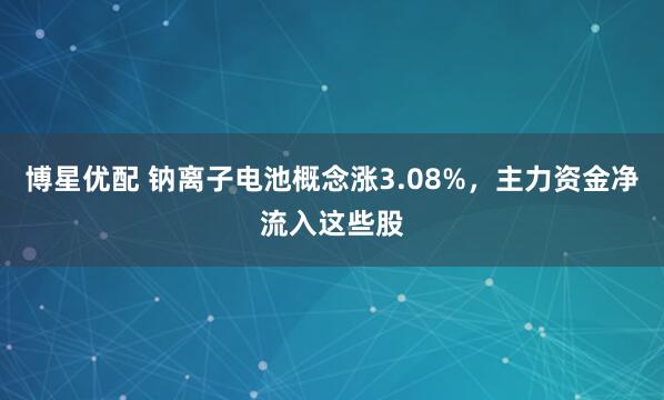 博星优配 钠离子电池概念涨3.08%，主力资金净流入这些股