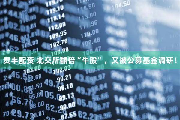 贵丰配资 北交所翻倍“牛股”,又被公募基金调研!
