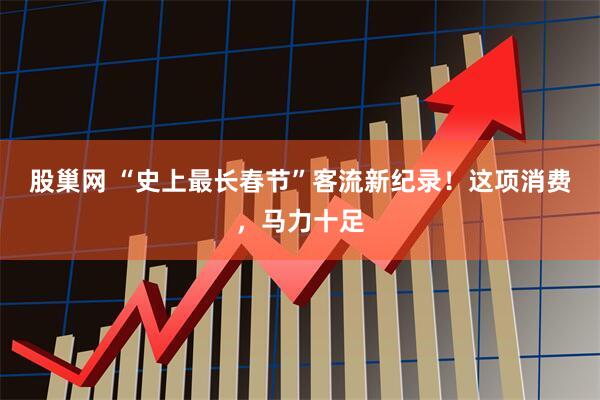 股巢网 “史上最长春节”客流新纪录！这项消费，马力十足